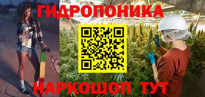 молекула духа Лесосибирск