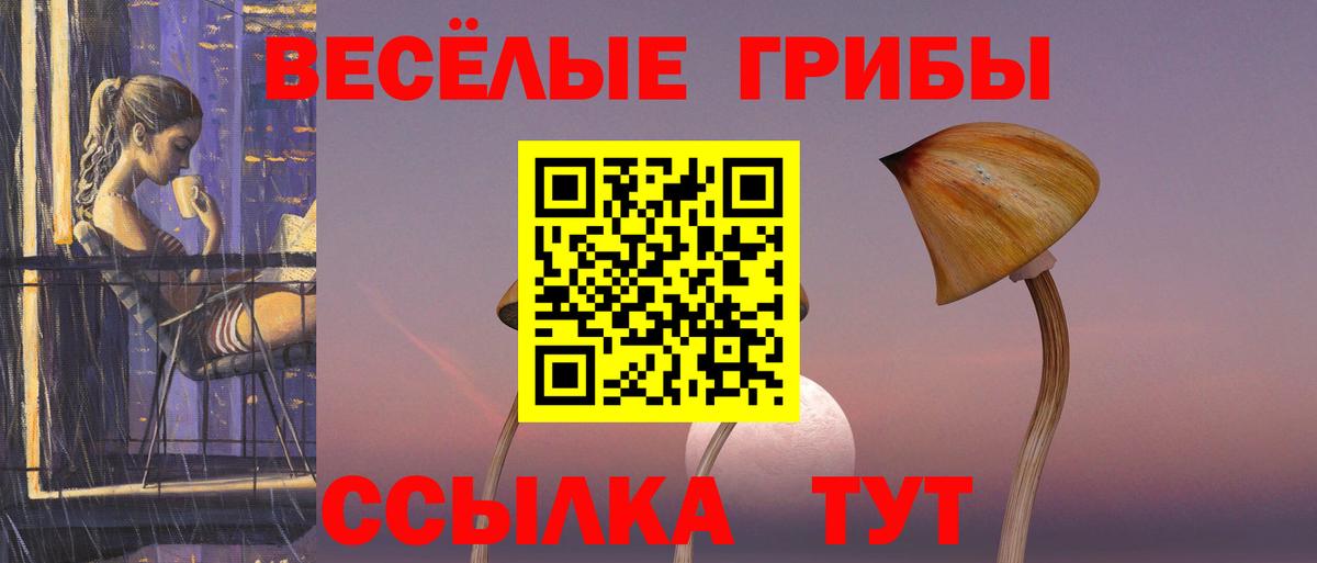 Пушкино  Псилоцибиновые грибы Cubensis  Вход с VPN 