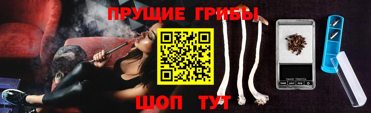 Галлюциногенные грибы Cubensis Пушкино